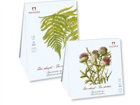 Планшет для эскизов Лилия Холдинг "Ботанический сад" Папоротник 21х29,7 см 30 л