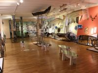 Музей Енисея