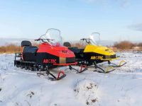 Снегоход БТС Arctic 4Т New Люкс 14 л.с. (э/зап , реверс, тормоз, улучшенная подвеска)