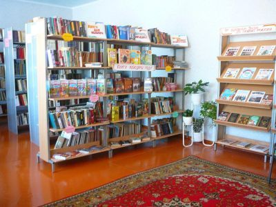 Солдатская сельская библиотека