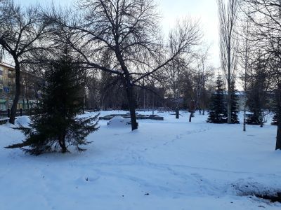 Торговые ряды