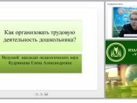 Как организовать трудовую деятельность дошкольника?