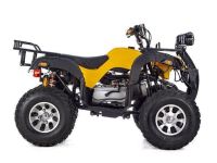 Квадроцикл RAPTOR Max Pro 250 (жёлтый/чёрный) (2024)