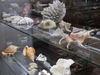 Государственный минералогический музей им. А. В. Сидорова