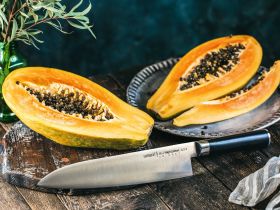 Нож кухонный "Samura Mo-V" Гранд Шеф 240 мм, G-10