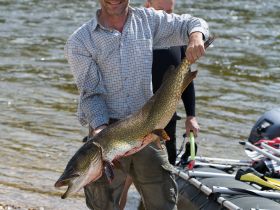 Сплав, отдых и рыбалка на реке Амга. Маршрут: Верхняя Амга - Оннес (390 км.)