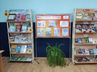 Краснокутская сельская библиотека