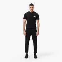 Мужские спортивные брюки Lacoste
