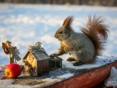 Какими будут январь и февраль: Прогноз погоды от Эhээ Дьыла