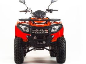Квадроцикл MOTOLAND 200 Max