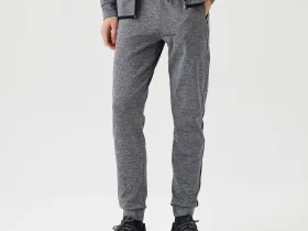 Мужские спортивные брюки Lacoste приталенного кроя