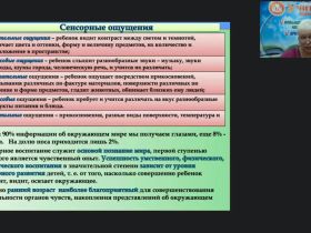Международный вебинар "Формирование сенсорных эталонов у детей с тяжелыми и множественными нарушениями развития"