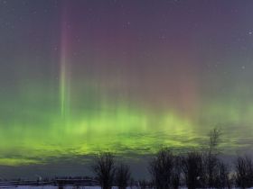 Арктическая автоэкспедиция "Индигирка". Якутск – Оймякон – Чокурдах – Русское Устье