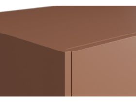 Распашной шкаф Изи 3.1-150x220 Терракотовый