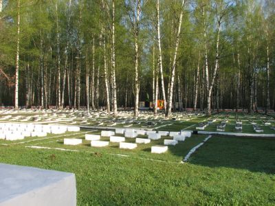 Воинское кладбище, на котором захоронено 502 советских воина, умерших от ран в госпиталях в годы Великой Отечественной войны