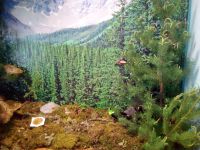 Тагнинский этнографический музей