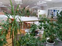 Центральная библиотека города Когалыма