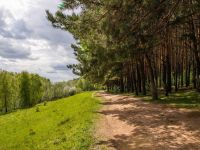 Парк «Городской лес»