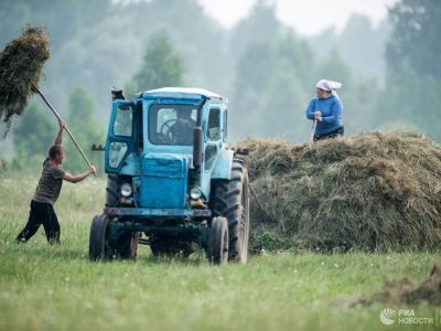 Минтруд расширил список профессий селян, претендующих на надбавку к пенсии