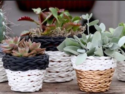 В Якутске пройдет мастер-класс по созданию кашпо из подручных материалов