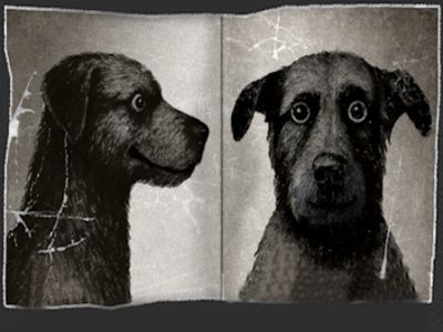 Мох. История одного пса