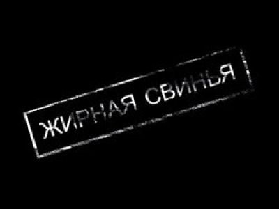Жирная свинья