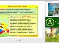 ФГОС ДО: Психологическая безопасность ребенка раннего возраста в период адаптации