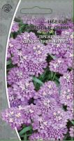 Иберис Лиловые огни цв/п  0,25 гр