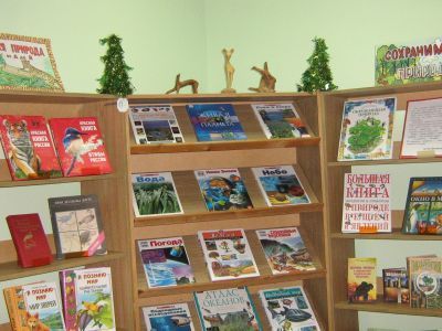 Библиотека № 82 (фонд детской литературы)