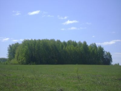 Священная роща
