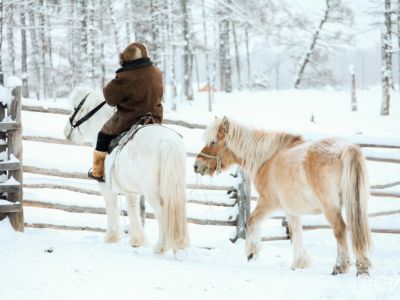 Грантовую поддержку получили 15 начинающих фермеров Якутии