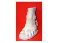 Гипс Стопа Геракла "Черная речка"