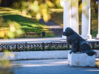 Сад им. Я. М. Свердлова