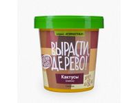 Набор для выращивания Вырасти, дерево! Кактусы