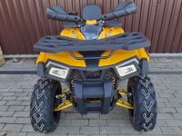 Квадроцикл MOTOLAND ATV 200 Wild Track
