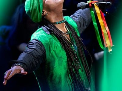 Эндрю Дональдс – Золотой голос Enigma