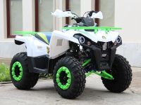 Квадроцикл IRIDE 200 Rover