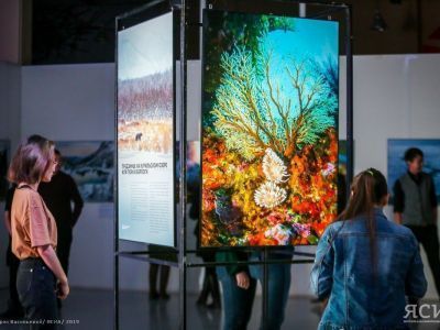 «Первозданная Россия» прямиком из Москвы. В Якутске открылась выставка фотографов дикой природы