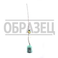 Груша Чижовская (в сетке)