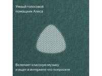 Умная колонка Яндекс.Станция Макс с Zigbee (YNDX-00053Z) (Зеленый)
