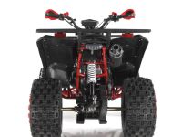 Квадроцикл WELS ATV Thunder 200 Evo X