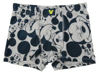 Трусы с принтом Disney для мальчика, 2 шт. в комплекте