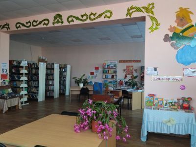 Шахмайкинская сельская библиотека