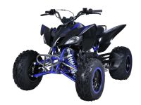 Квадроцикл MIKILON Rapide 200 EFI