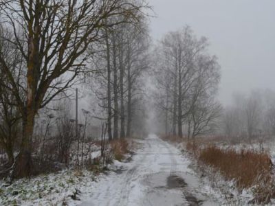 Усадебно-парковый комплекс «Курковицы» («Губино»)