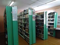 Библиотека-филиал № 2 п. Полуночное