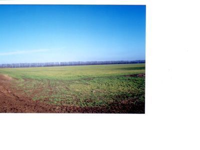 Земляной надел, подаренный жителями станицы "Всесоюзному старосте" М.И. Калинину, избранному почетным гражданином станицы Новощербиновской