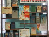 Центральная библиотека Чернышевского района