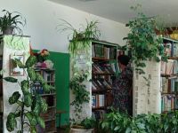 Библиотека № 21 с. Березовка