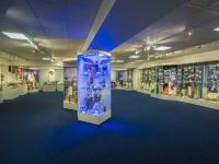 Музей спортивной славы ЦСКА